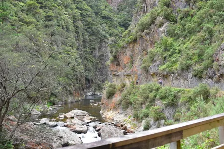 Karangahake Marathon