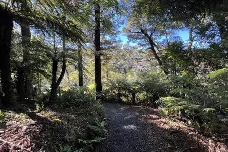 Butterfly Creek Loop