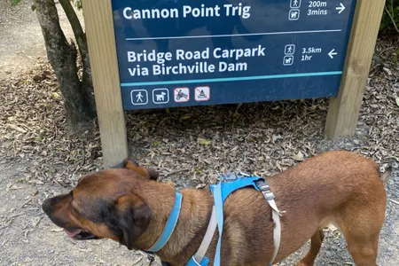 Cannon Point Trig via Zig Zag