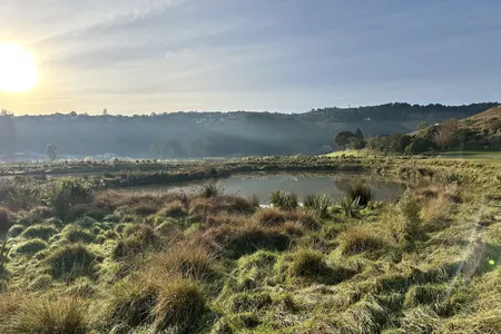 Cracroft Wetlands