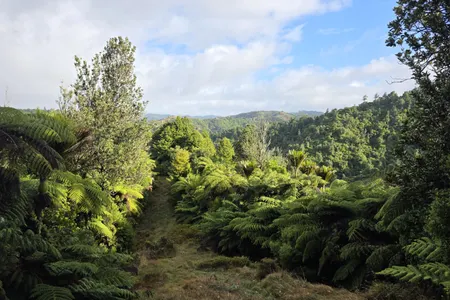 Ed Hillary Hope Reserve Loop