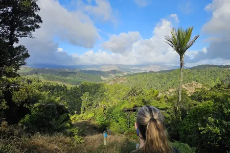 Ed Hillary Hope Reserve Loop