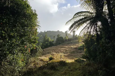 Ed Hillary Hope Reserve Loop
