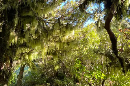 Enchanted Eastern Mountain Loop