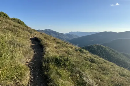 Feathertop via The Razorback
