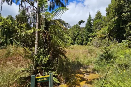 Fenian Caves & Adams Hut