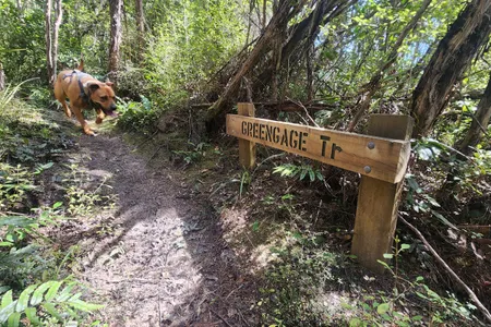 Greengauge Loop
