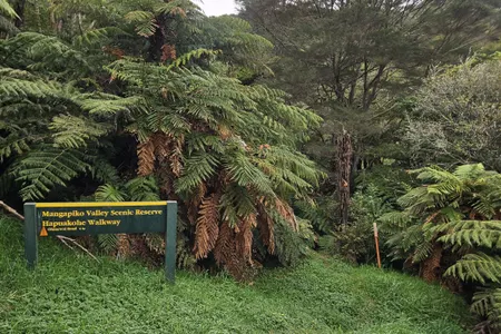 Hapuakohe Hills