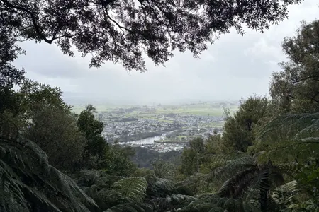 Hilly Hakarimata