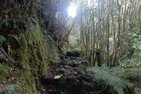 Hot Springing to Cedar Flats