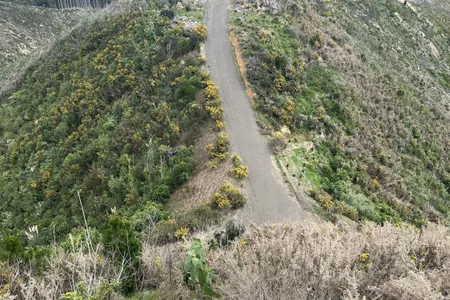 Orum Road/Te Araroa loop