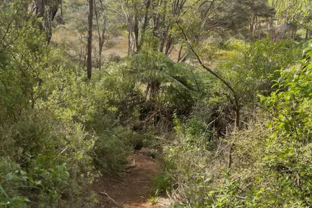 Kaitoke, Rangitahi and Te Hutewai
