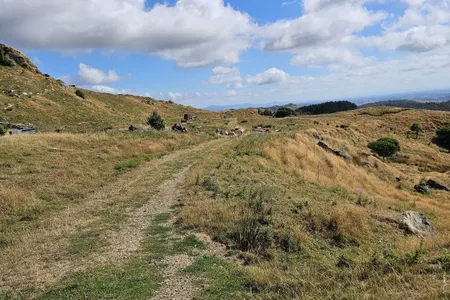 Karamu Walkway South