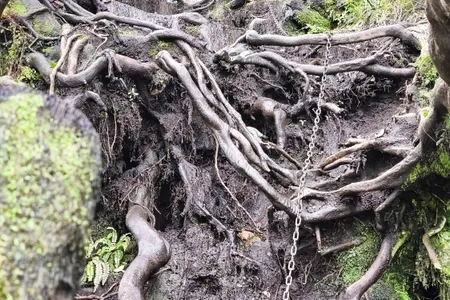 Karioi Traverse