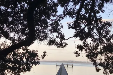 Kauri Point Kaper