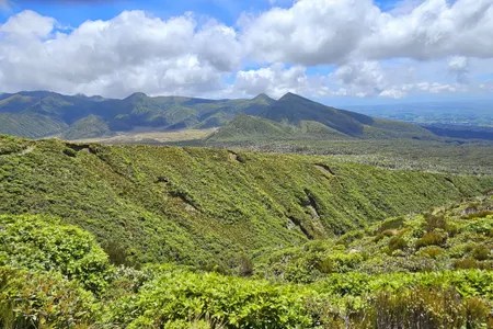 Kokowai Loop