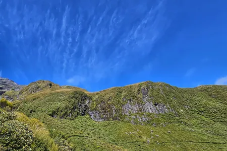 Kokowai Loop