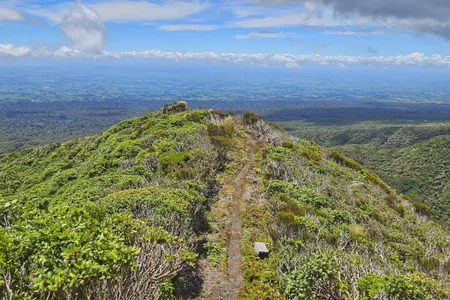 Kokowai Loop