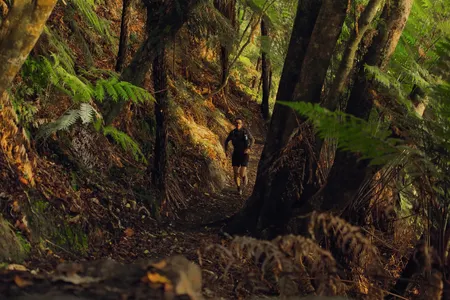 Lake Okareka Full Loop