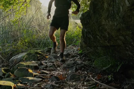 Lake Okareka Full Loop