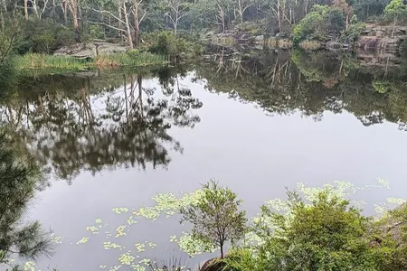 Lake Parramatta