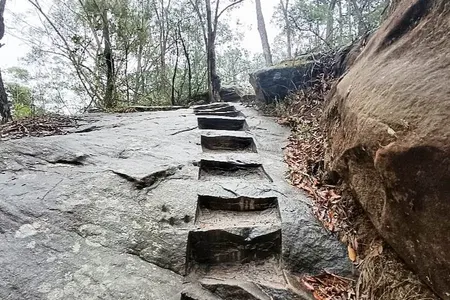 Lake Parramatta