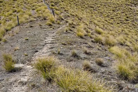 Lindis Pass Lookout & Double Peak