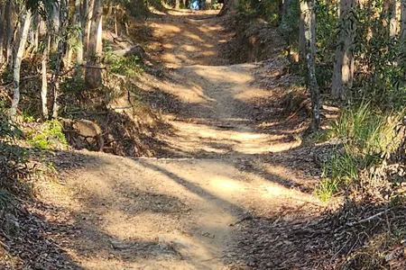 Loopin' Nerang