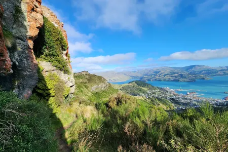 Lyttelton Dress Circle