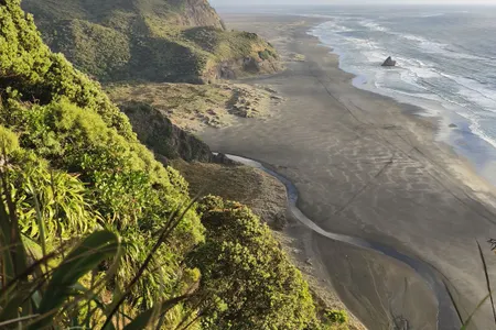 Mercer Bay Magic