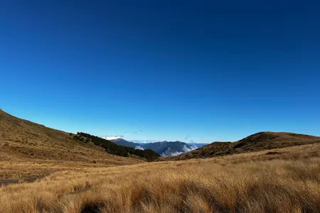 Mole Jamieson Loop