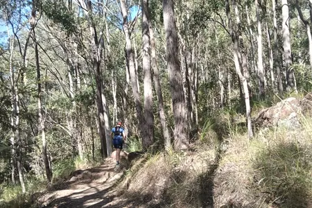 Mount Beerburrum Summit Walk