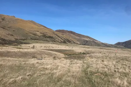Mount Pukanui and Mount Tripp loop