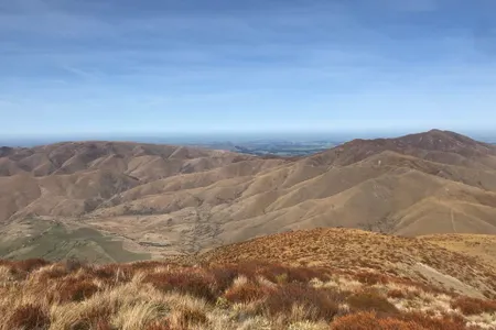 Mount Pukanui and Mount Tripp loop