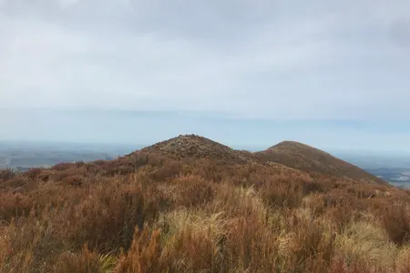 Mount Pukanui and Mount Tripp loop