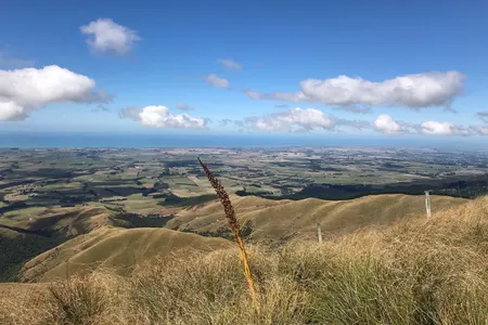 Mount Studholme and Mount Cecil