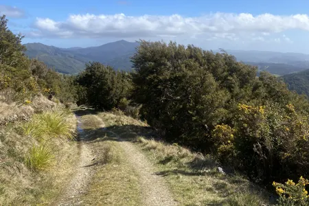 Norbett Creek Loop