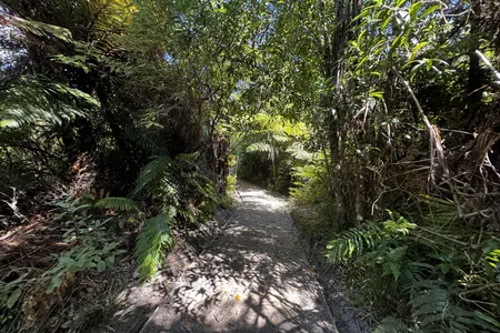 Ōkareka Loop
