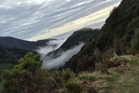 Okiwi Bay and the hills beyond