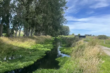 On the Straight and Narrow