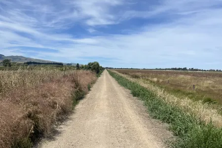 On the Straight and Narrow