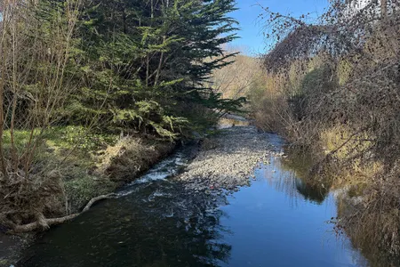 Orokonui Lagoon Track