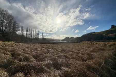 Orokonui Lagoon Track