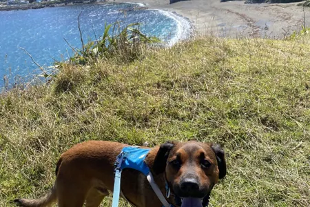 Oruaiti Reserve