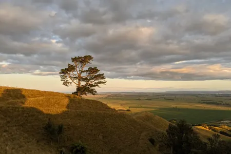 Pāpāmoa Hills Summit Loop