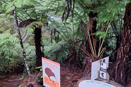 Paihia - Russell Loop