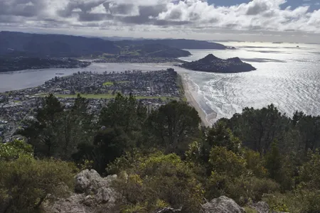 Pauanui Summit Loop