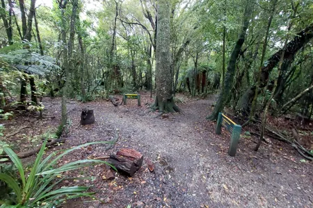 Peel Forest Rounds