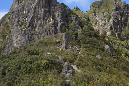 Pinnacles & Billy Goat