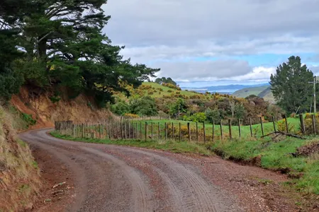 Pirongia West Loop